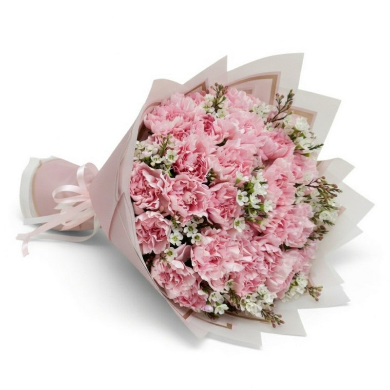 A bouquet of pink carnations