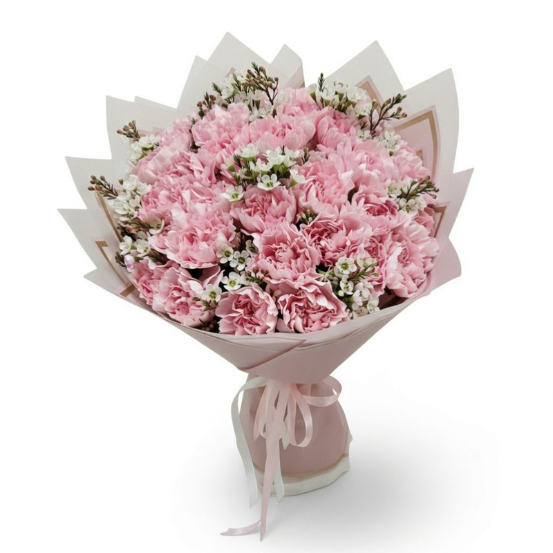 A bouquet of pink carnations